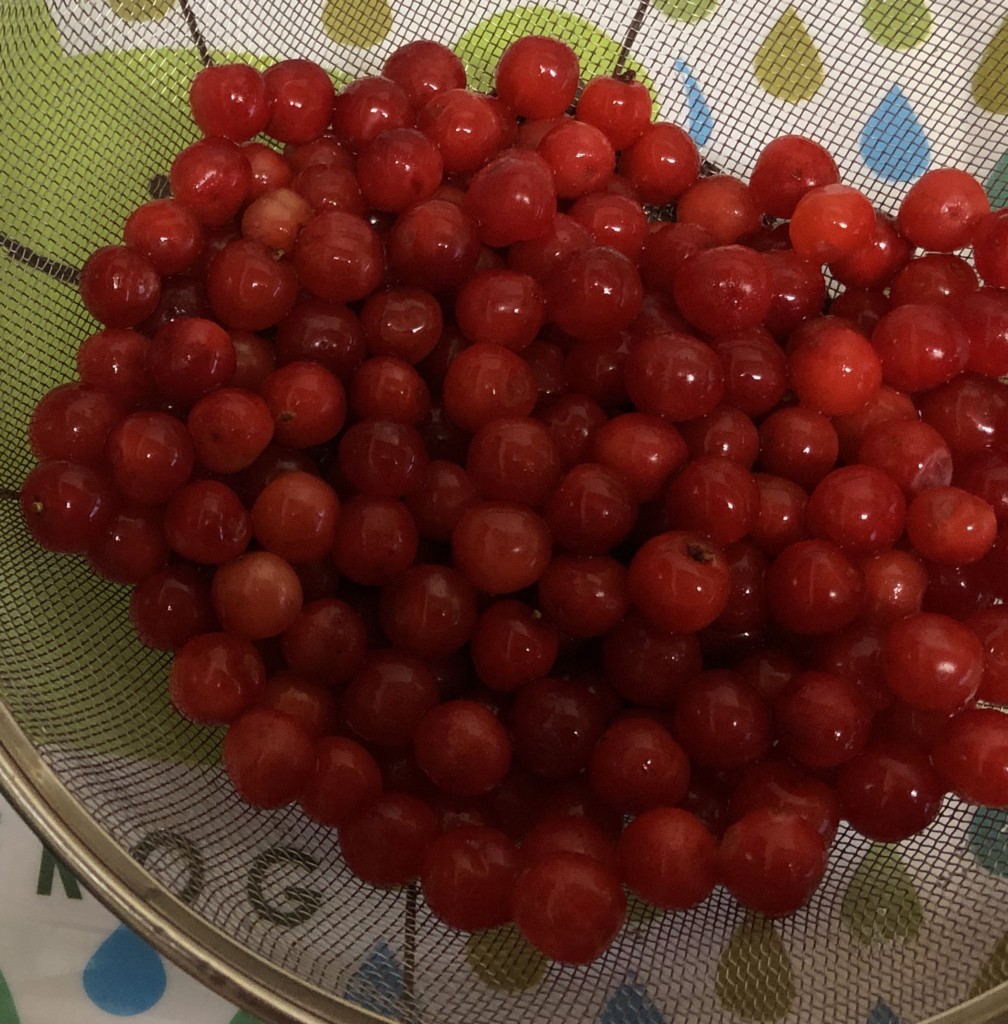 ユスラウメのジャムときのう何食べた のニンジンとツナのサラダを作りました いとおかし